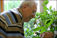 Man with a plant photo